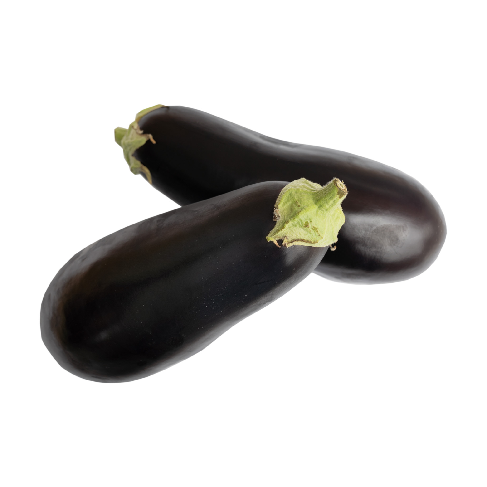 AUBERGINE (each) - Down Wholesale