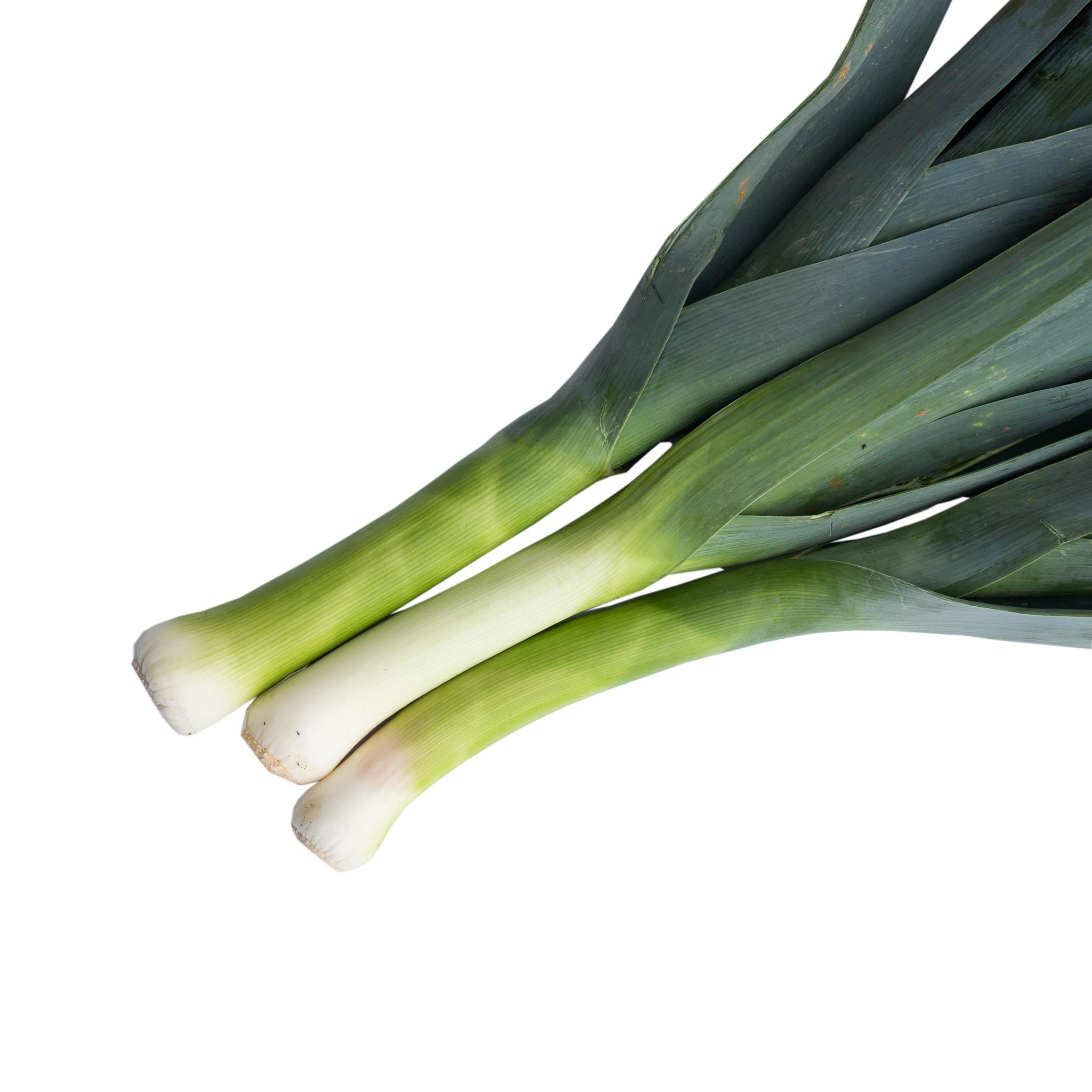 IRISH LEEKS (KG) - Down Wholesale