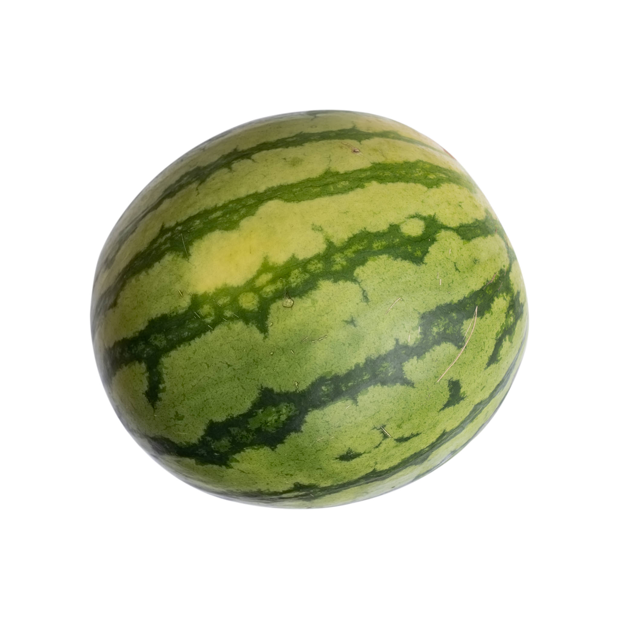 Water Melon (each) - Down Wholesale